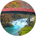 ELIFE事務局 profile picture