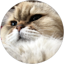 たかっちょ profile picture
