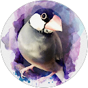 NABee ___ profile picture